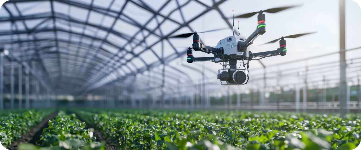 Dron nad zieloną uprawą